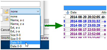 Define directory sort